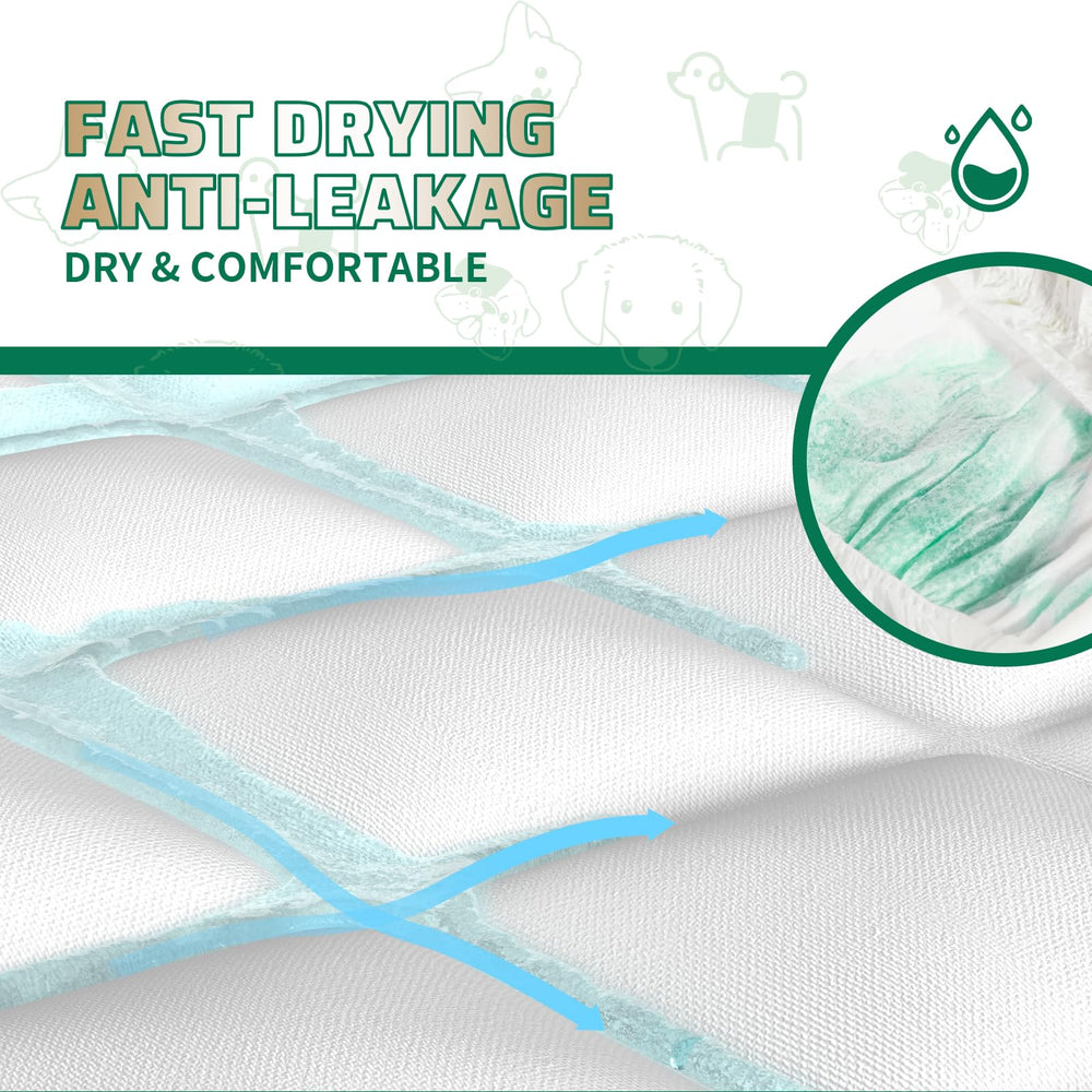 IMMCUTE male diapers used for marking outings to manage behavior discreetly.
