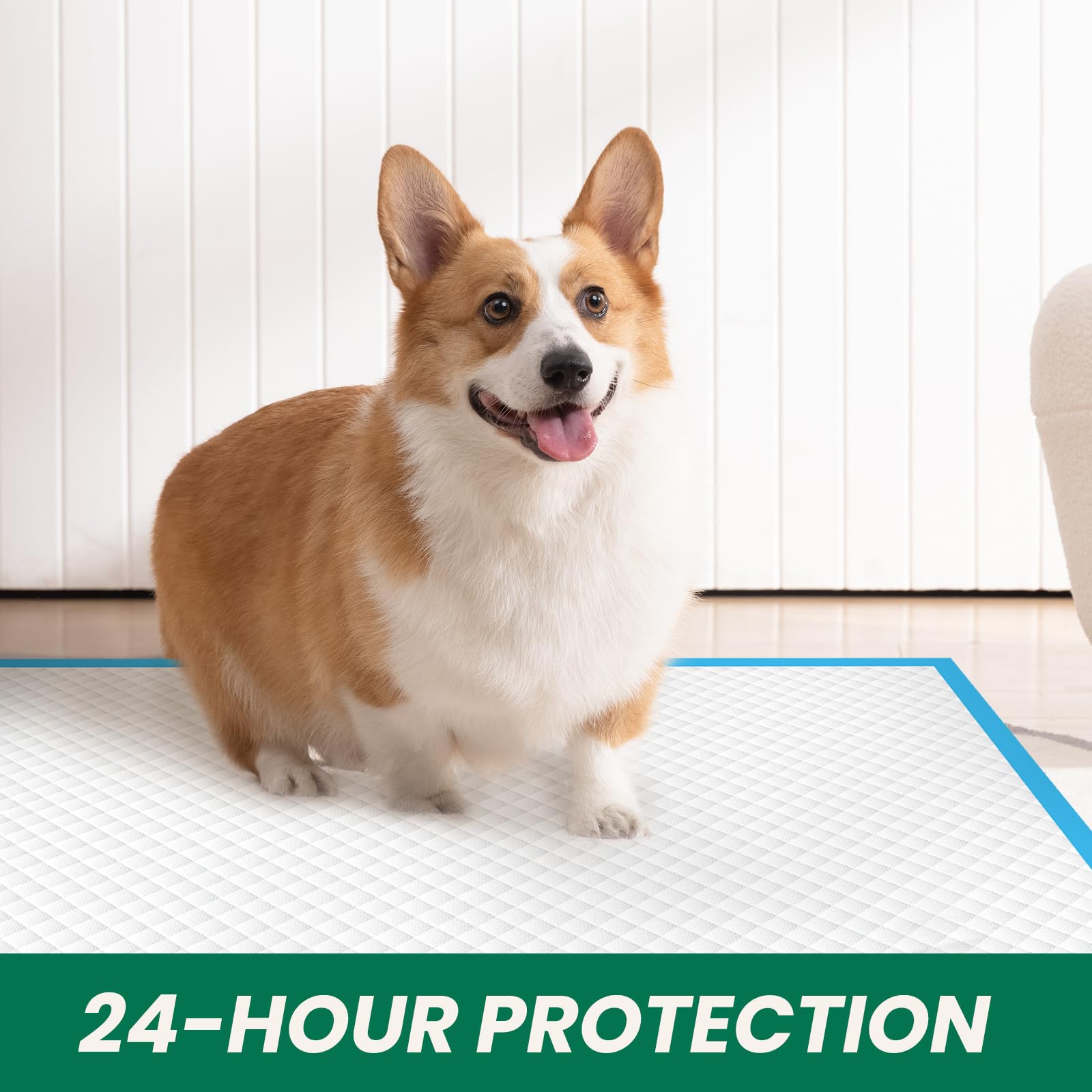 IMMCUTE dog using pad indoors with easy cleanup scenario