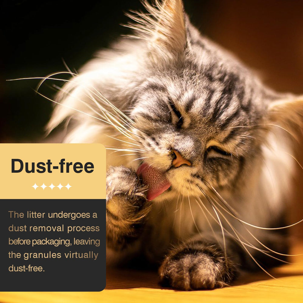 IMMCUTE easy-clean litter box setup after use