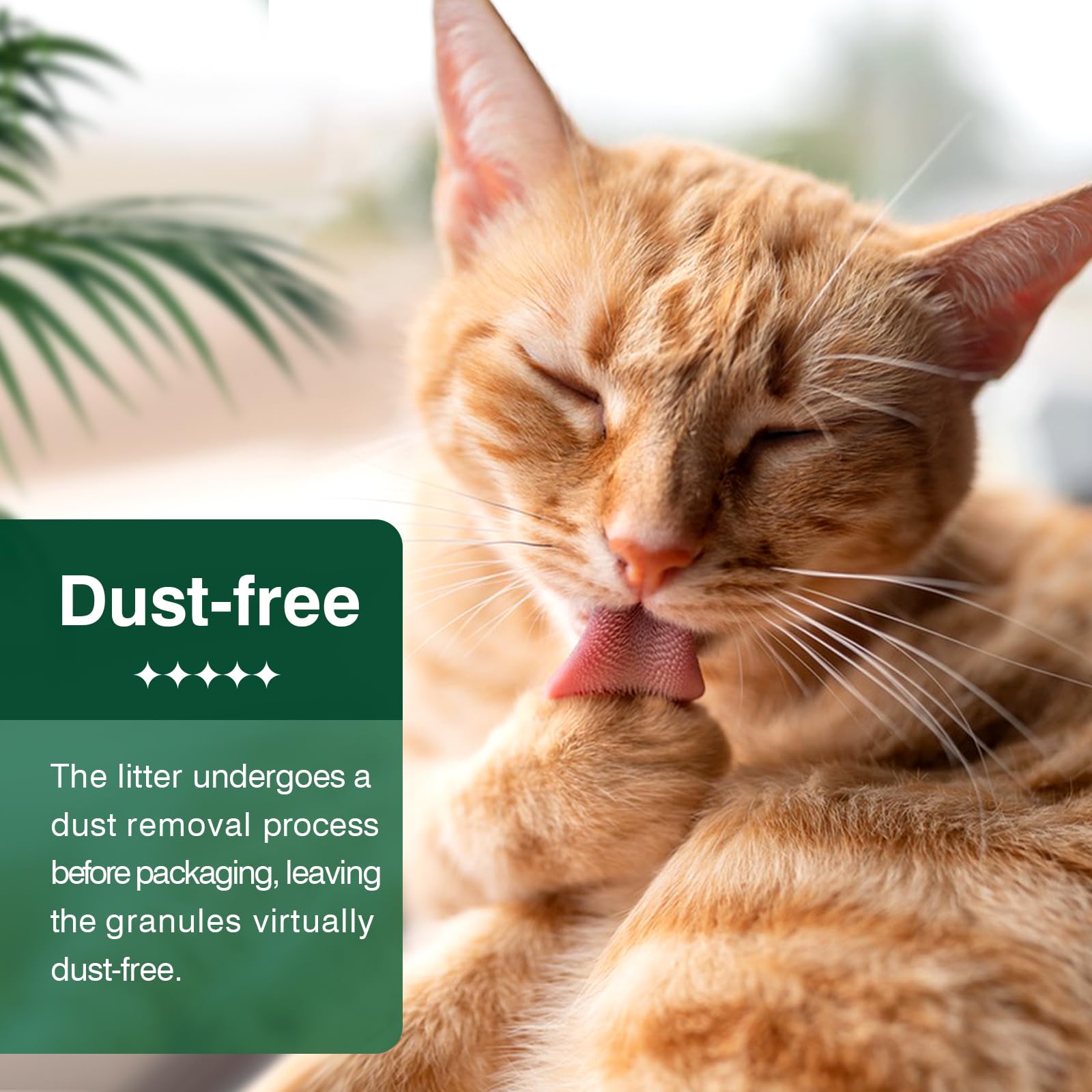 IMMCUTE kitten-friendly pellets designed for easy stepping and acceptance.