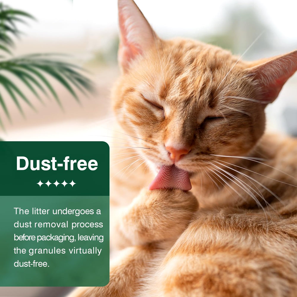 IMMCUTE kitten-friendly pellets designed for easy stepping and acceptance.