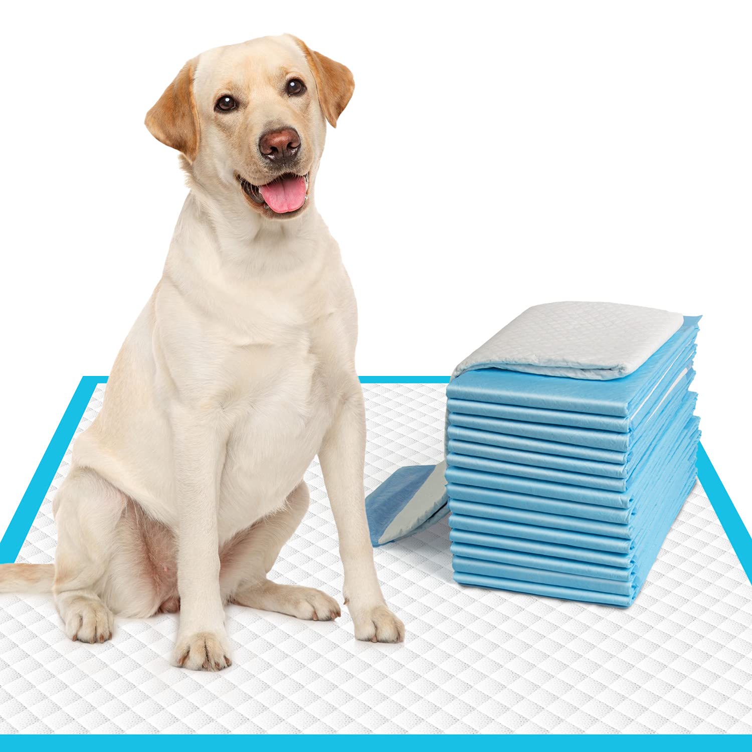 IMMCUTE 28x30 large dog pee pad front view for broad training coverage.