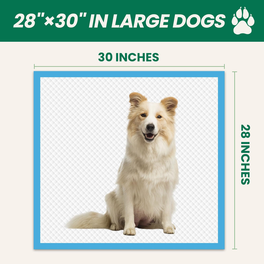IMMCUTE multi-scene usage in indoor and outdoor settings for versatile training