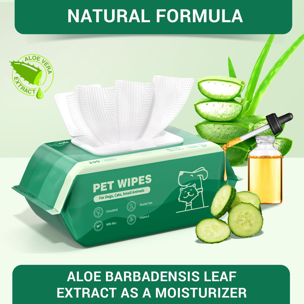 IMMCUTE aloe vera ingredient emphasis for soothing natural care.
