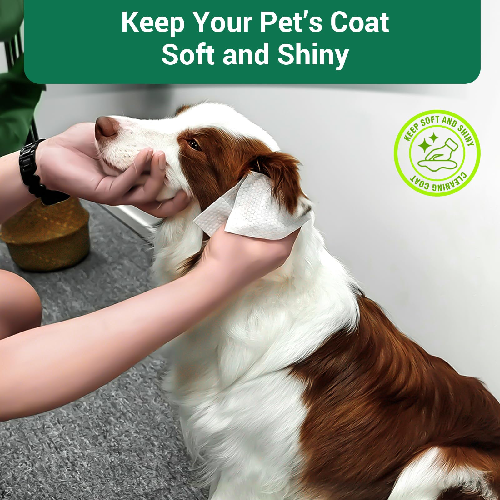 IMMCUTE wipes in action cleaning a pet's paws after outdoor activity.