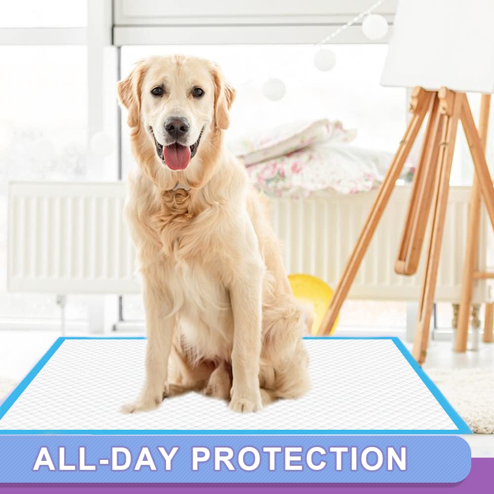 Puppy resting comfortably on IMMCUTE pad conveys training-friendly usability.