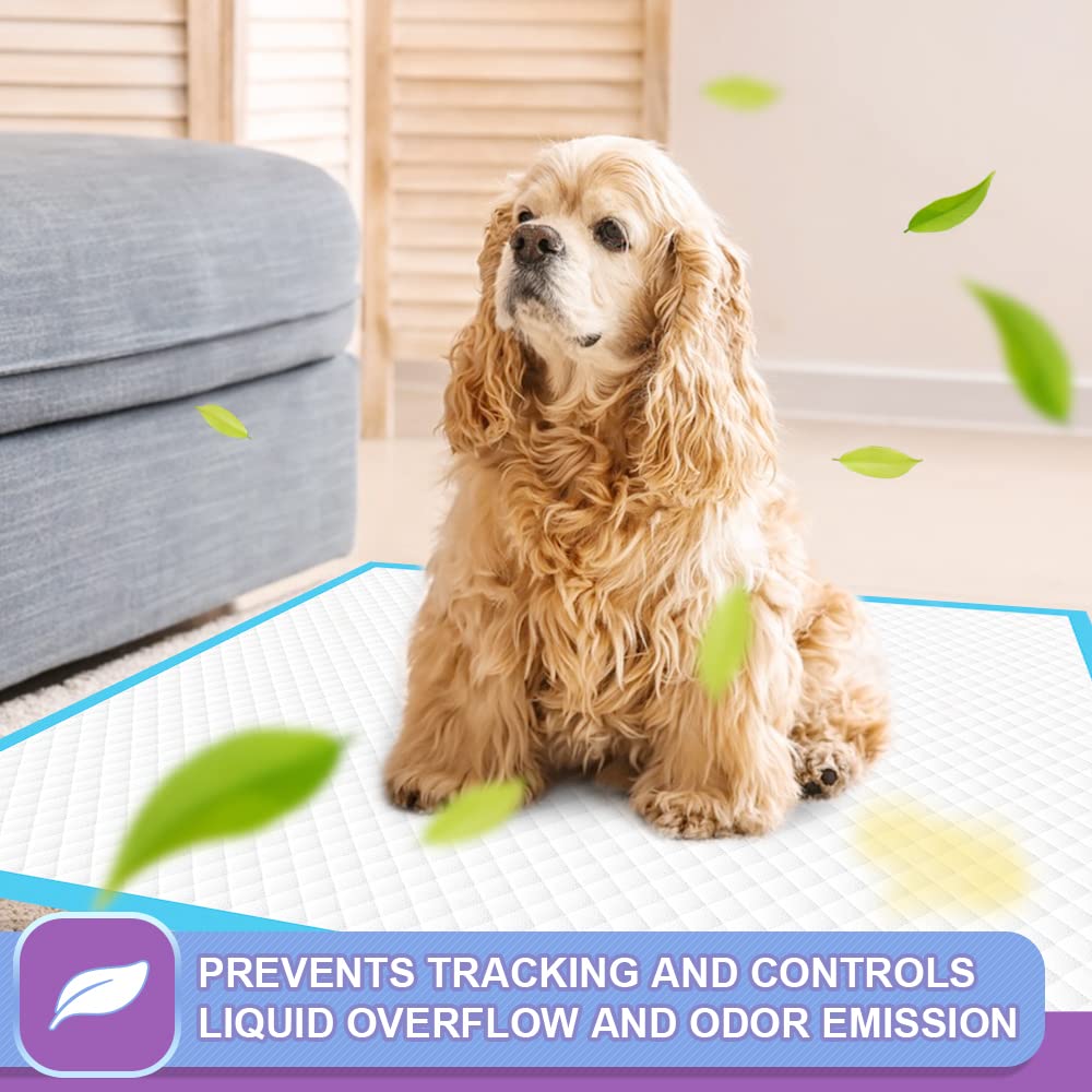 22x23-inch size label confirms IMMCUTE pad is suitable for puppies, seniors, and small pets.