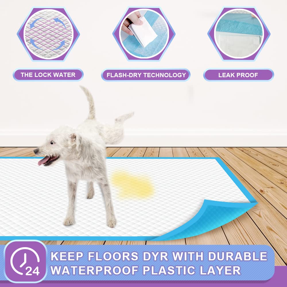 IMMCUTE Puppy Pad 6-layer protection illustrates enhanced absorption and leak prevention.