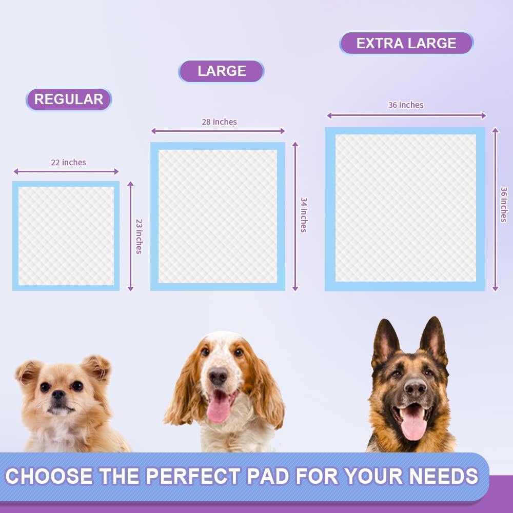 IMMCUTE pad shown in multi-pet setting supports all-day protection in busy homes.