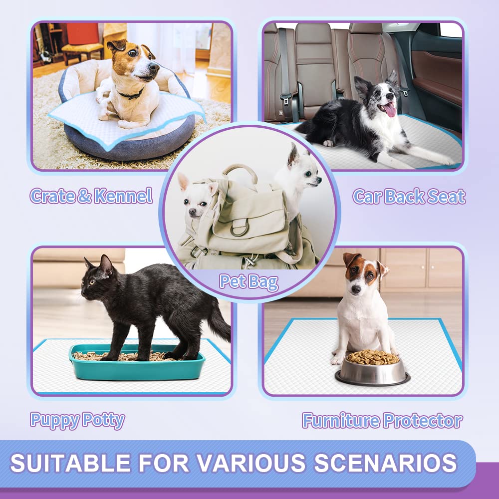 Travel-ready IMMCUTE pad laid on grass demonstrates outdoor-use convenience.