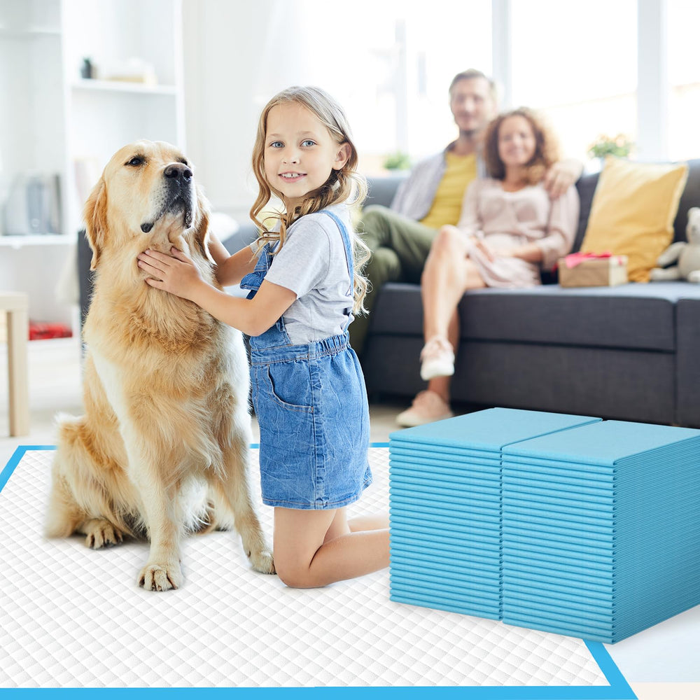 IMMCUTE quiet-cleanup after-use demo highlights low odor cleanup