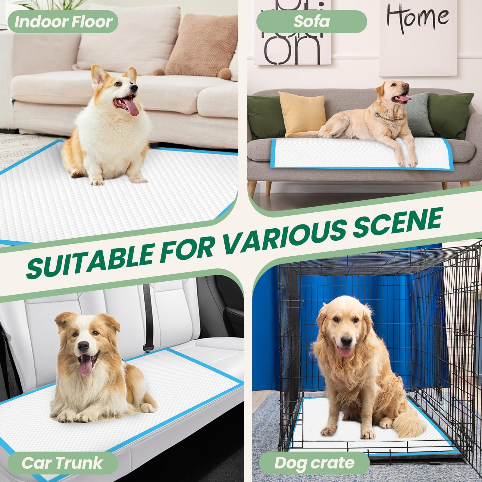 IMMCUTE quilted soft top surface emphasizes paw-friendly texture