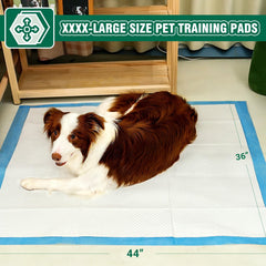 IMMCUTE XL puppy pad offers superior absorbency for mess-free homes