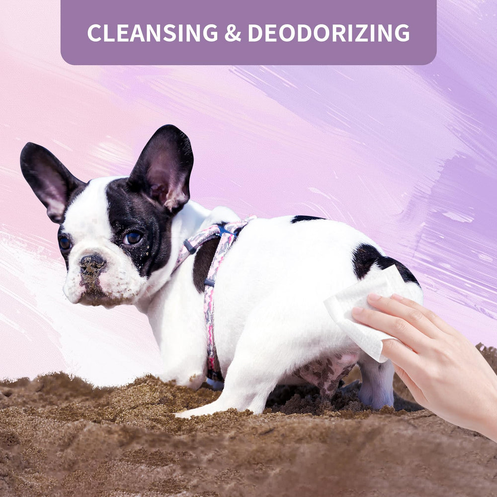 IMMHABI dog wipes after walks deodorize and refresh your pet.