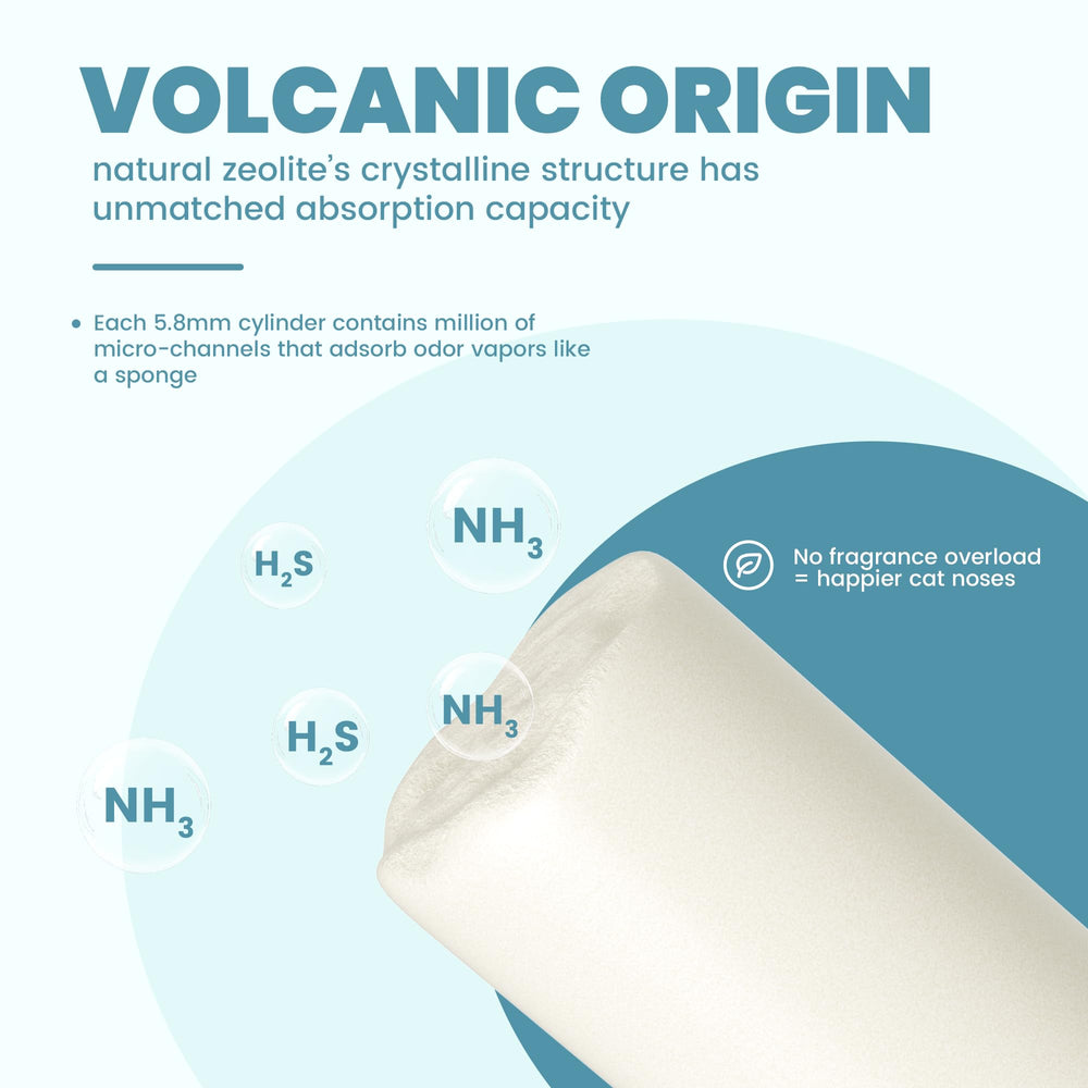 IMMHABI dual-layer compatibility image shows easy refills