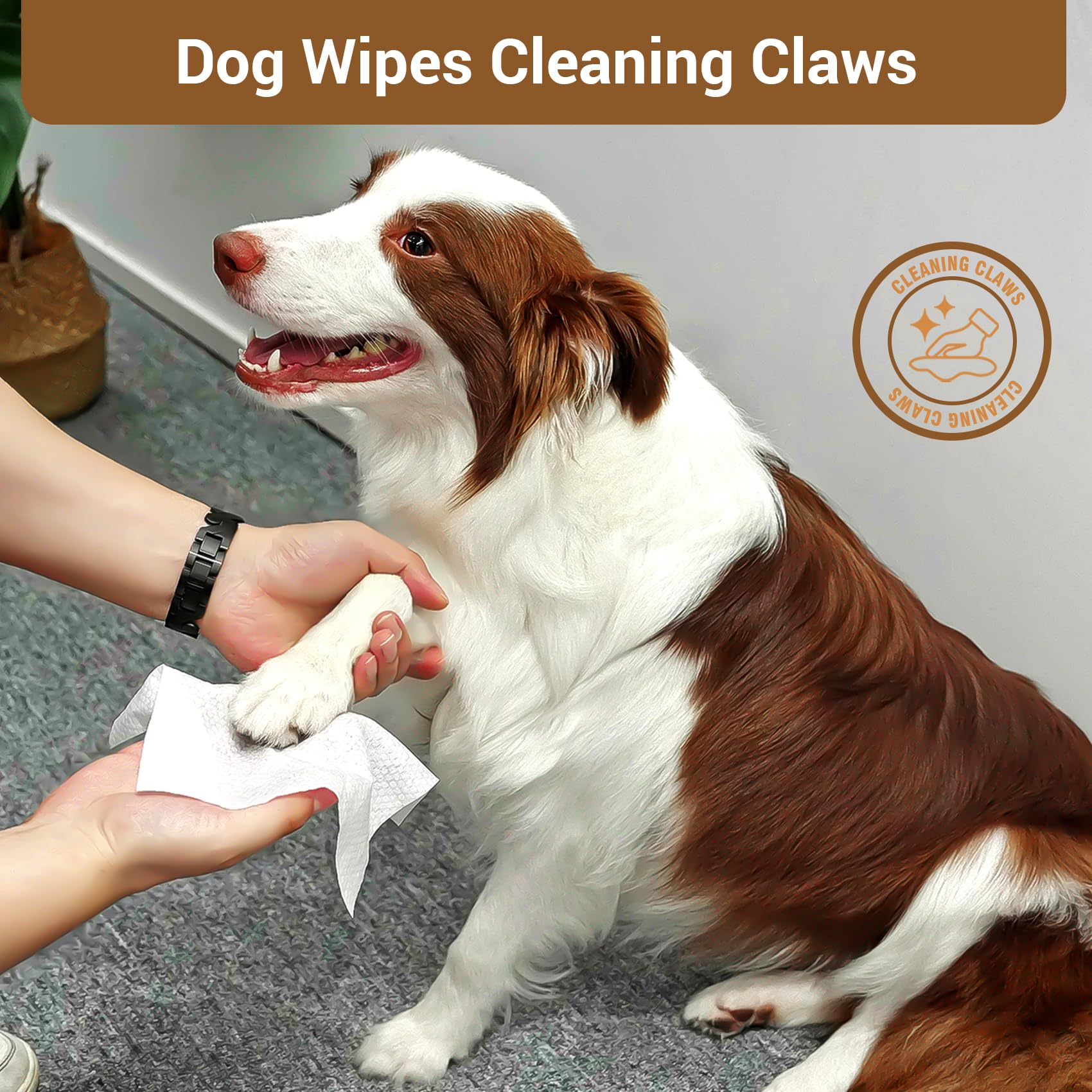 IMMCUTE 400 Coconut Oil Dog Wipes gentle facial cleaning around eyes and muzzle.