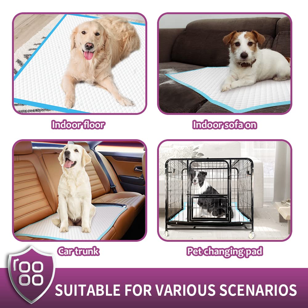 IMMCUTE large-surface pad supports puppy training and larger pets.