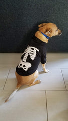 Impoosy skeleton hoodie glow image demonstrates night visibility for pets