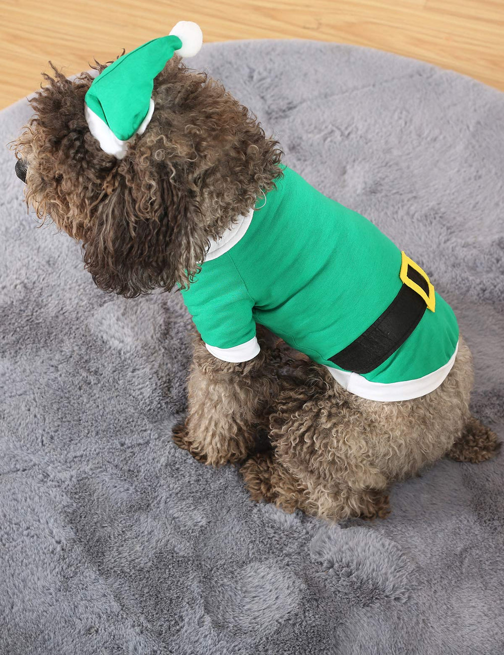 Impoosy dog costume on model elf hat showcases easy-to-wear elastic design