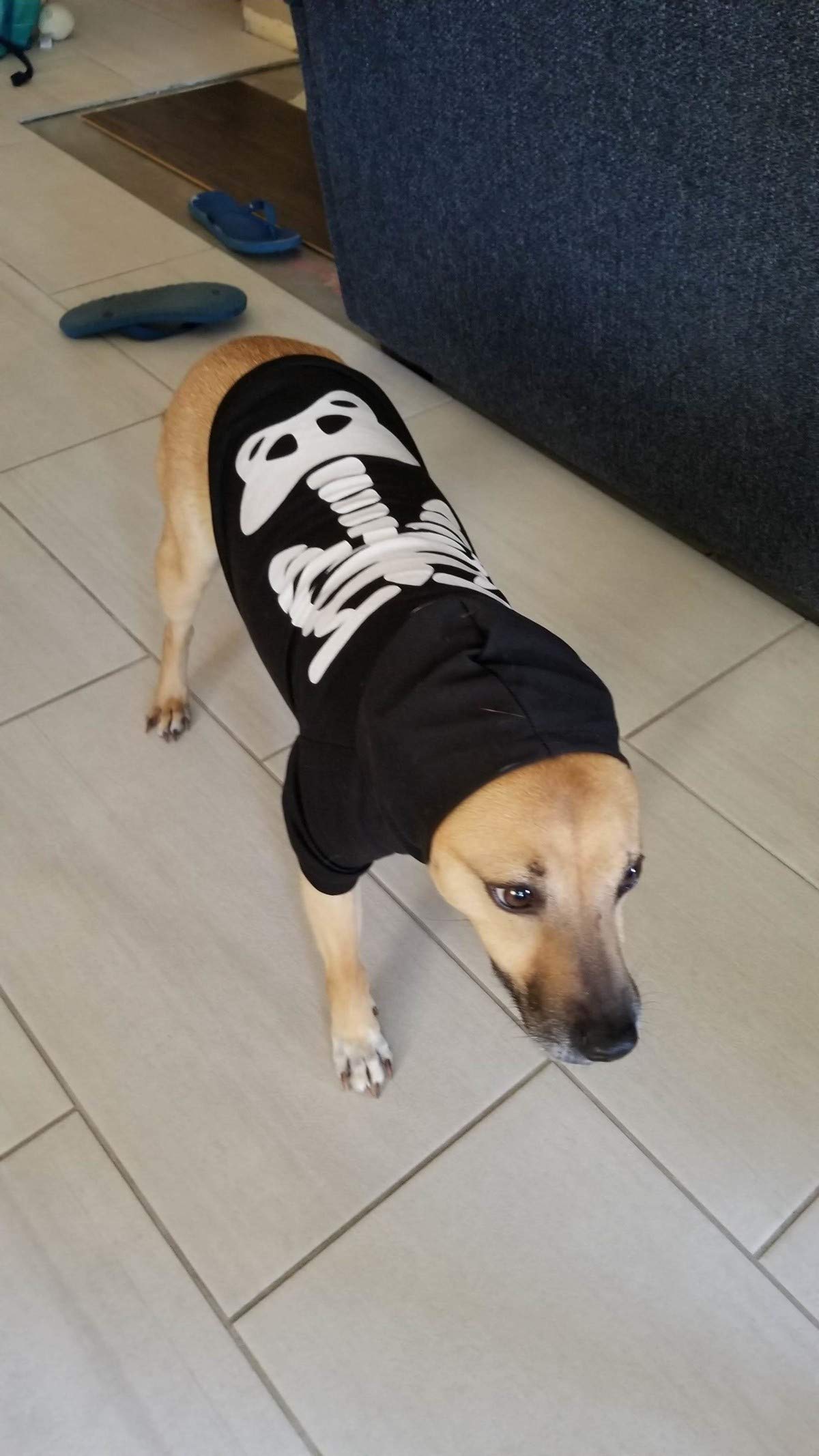 Impoosy pet skeleton hoodie closeup shows breathable cotton fabric.