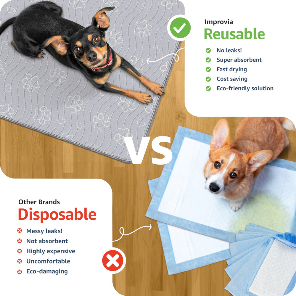 IMPROVIA extra-absorbent puppy pad helps reduce mess during playtime and training.