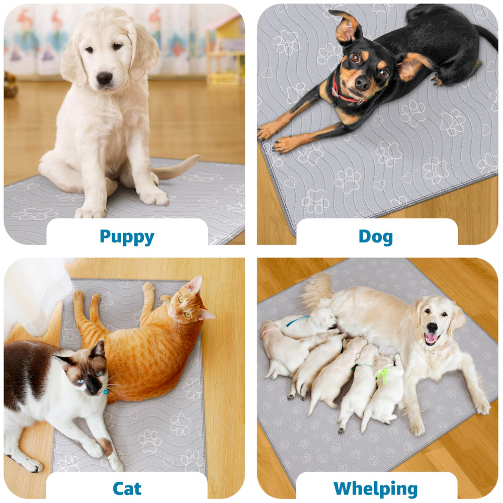 IMPROVIA non-slip dog mat stays in place under active dogs