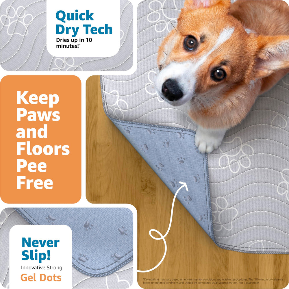 IMPROVIA reusable puppy pad Absorbency demonstrates quick fluid capture for cleaner floors.
