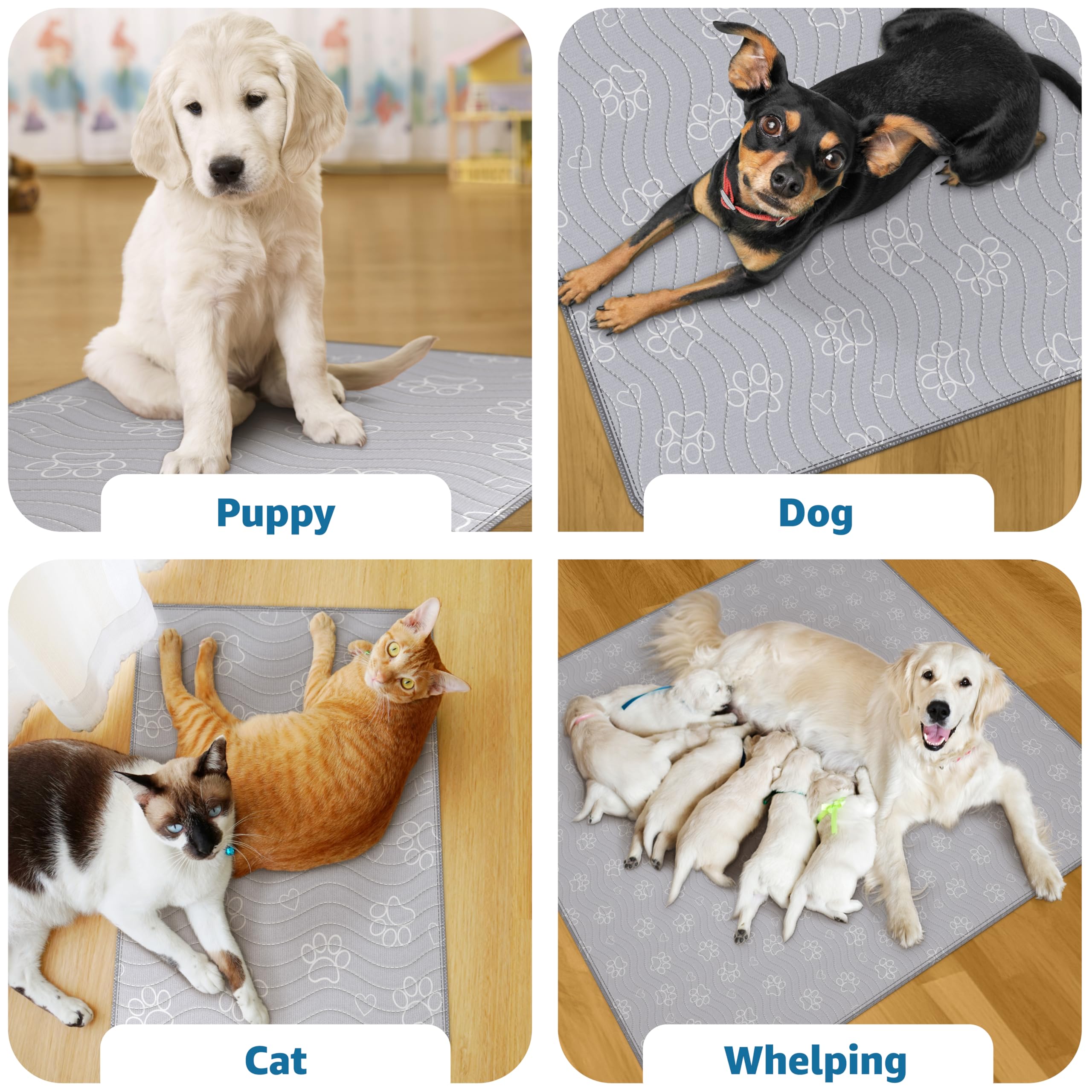 IMPROVIA washable dog mat is reusable and fast-drying for busy households.