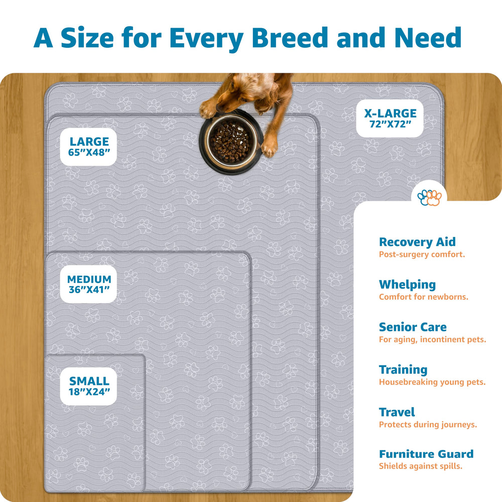 IMPROVIA XL dog pad in indoor training area provides versatile floor protection