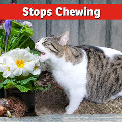 imustgarden yard application scene shows quick coverage for chewers.