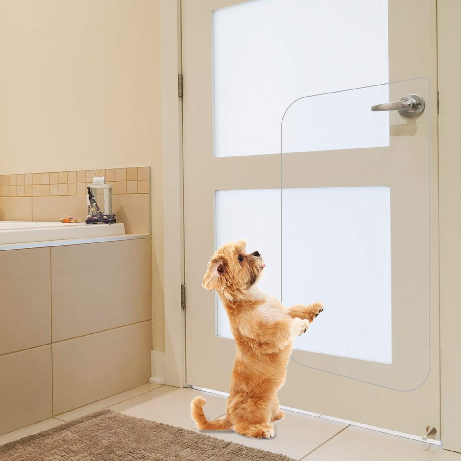 In hand Clear Pet Door Scratch Protector Shield easy to wipe clean after paw prints