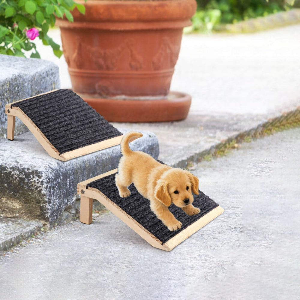 In hand dog ramp two-pack allows setup at multiple home entrances