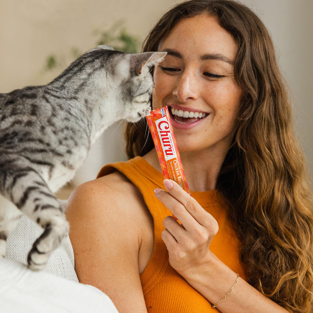 INABA Churu cat snack time – convenient, tasty reward during daily routines.
