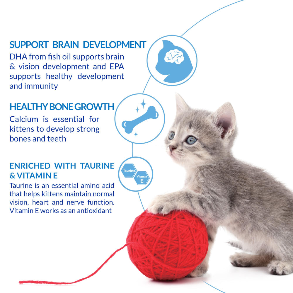 INABA Churu chicken-recipe packaging image suggests protein-rich grain-free treat