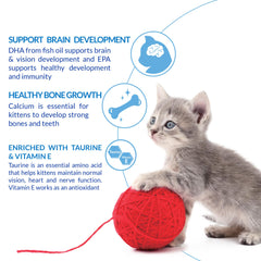 INABA Churu chicken-recipe packaging image suggests protein-rich grain-free treat