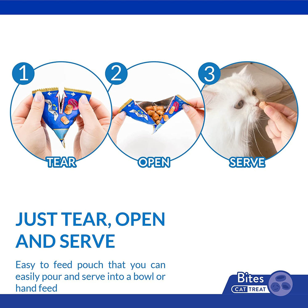 INABA Churu Fun Bites variety-pack display — four flavors for cats