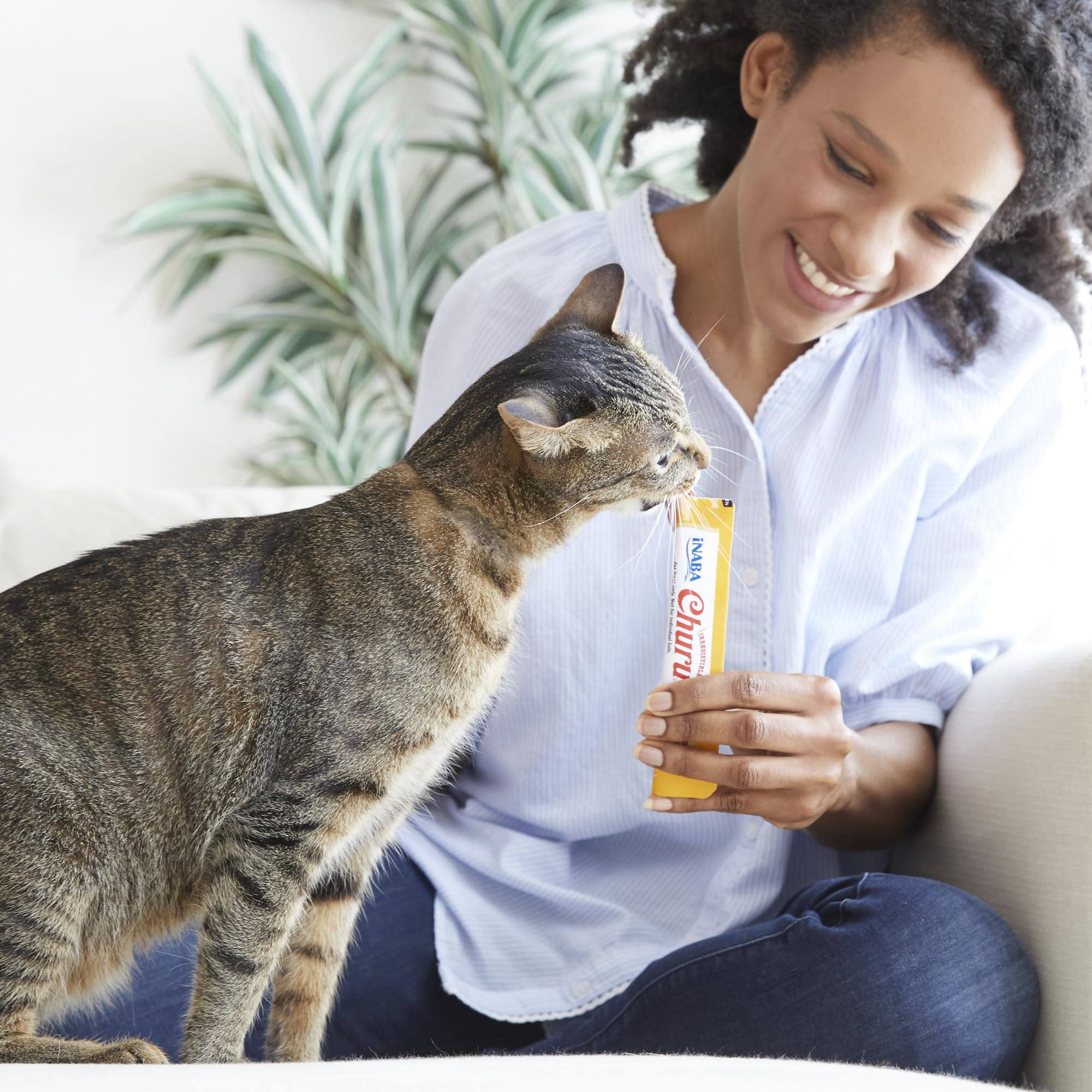 INABA Churu hand-feeding-cat-closeup captures interactive feeding moments and bonding benefits.