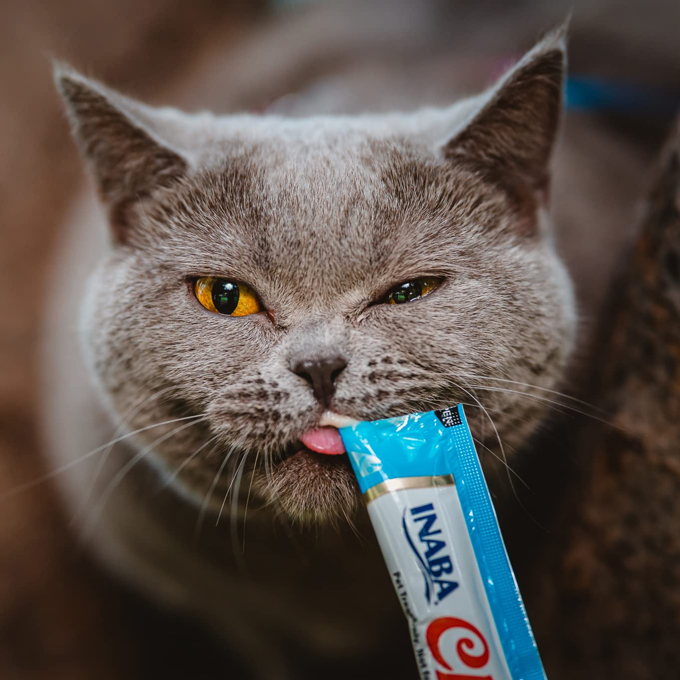 INABA Churu tuna-salmon ingredients highlight taurine and vitamin E for wellness.