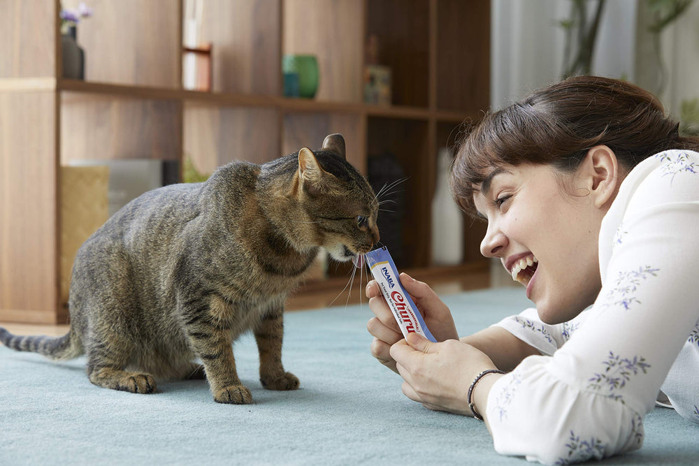 INABA Churu Tuna tubes pack four for convenient interactive feeding.
