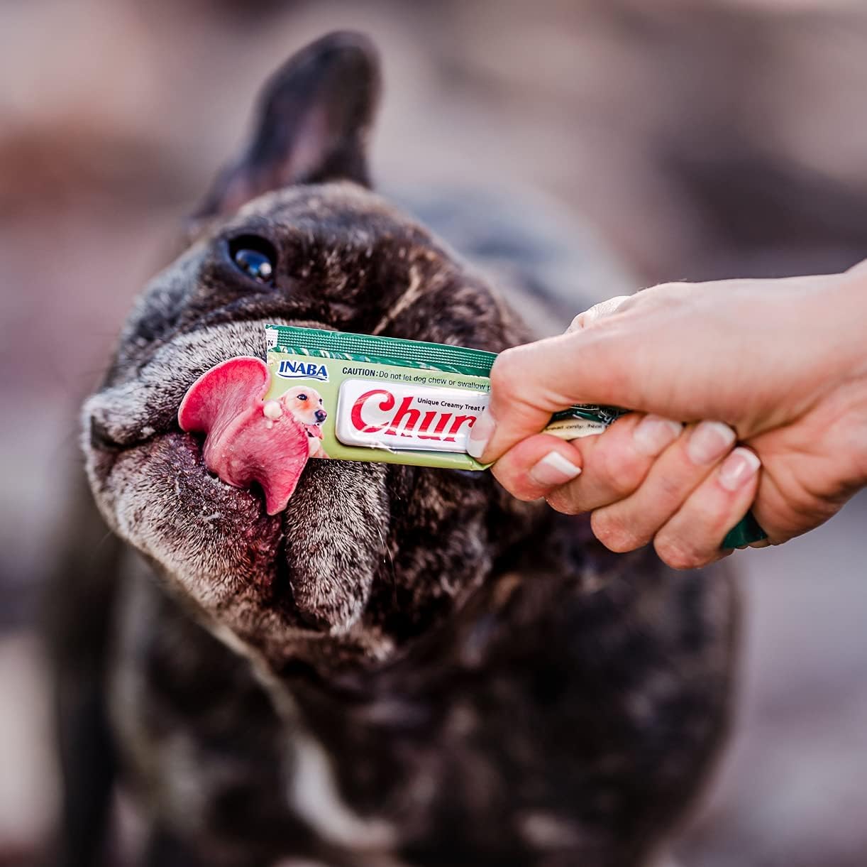 Uso diario de INABA Churu en tubo para perros, complemento práctico.