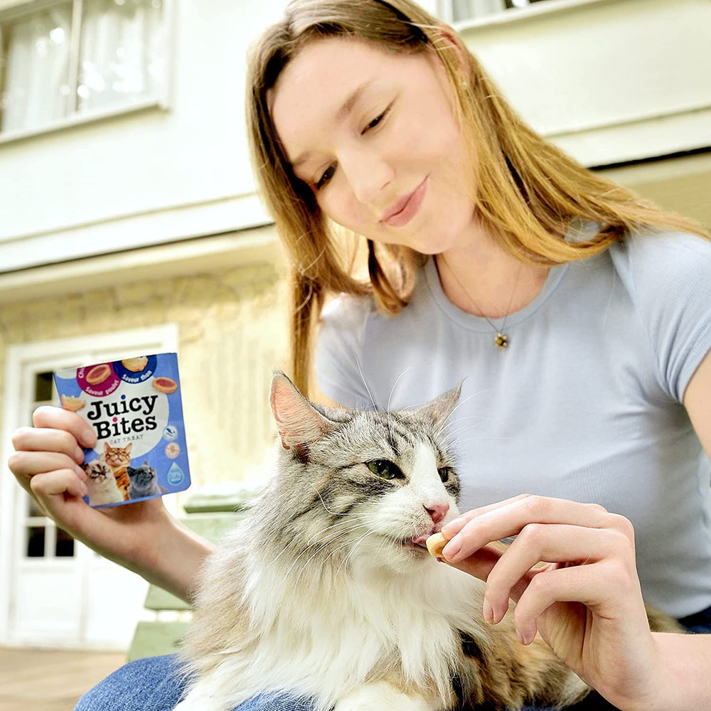 INABA Juicy Bites 9-pack freshness and grain-free formula