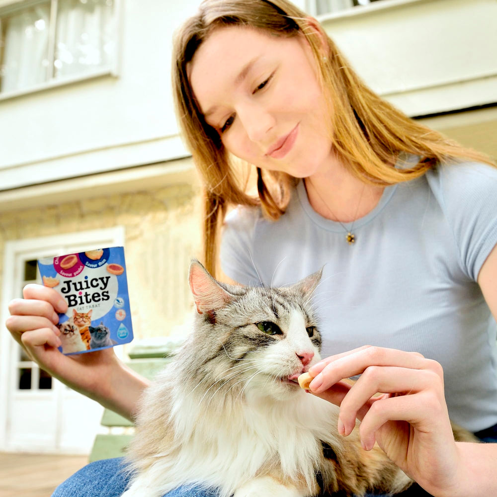 INABA Juicy Bites training clicker moment shows reward snacking.