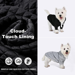 Inanil dog hoodie back view showing leash port for easy leash access.