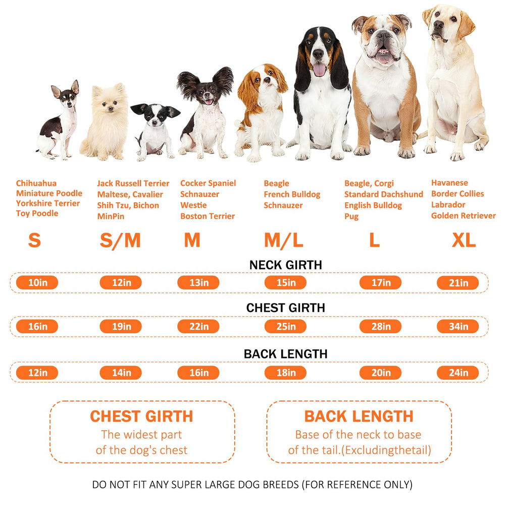 Inanil dog hoodie pocket detail for small essentials on walks.
