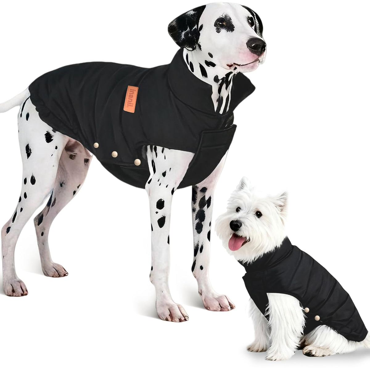 Inanil dog puffer jacket insulated close-up for maximum warmth on winter walks.