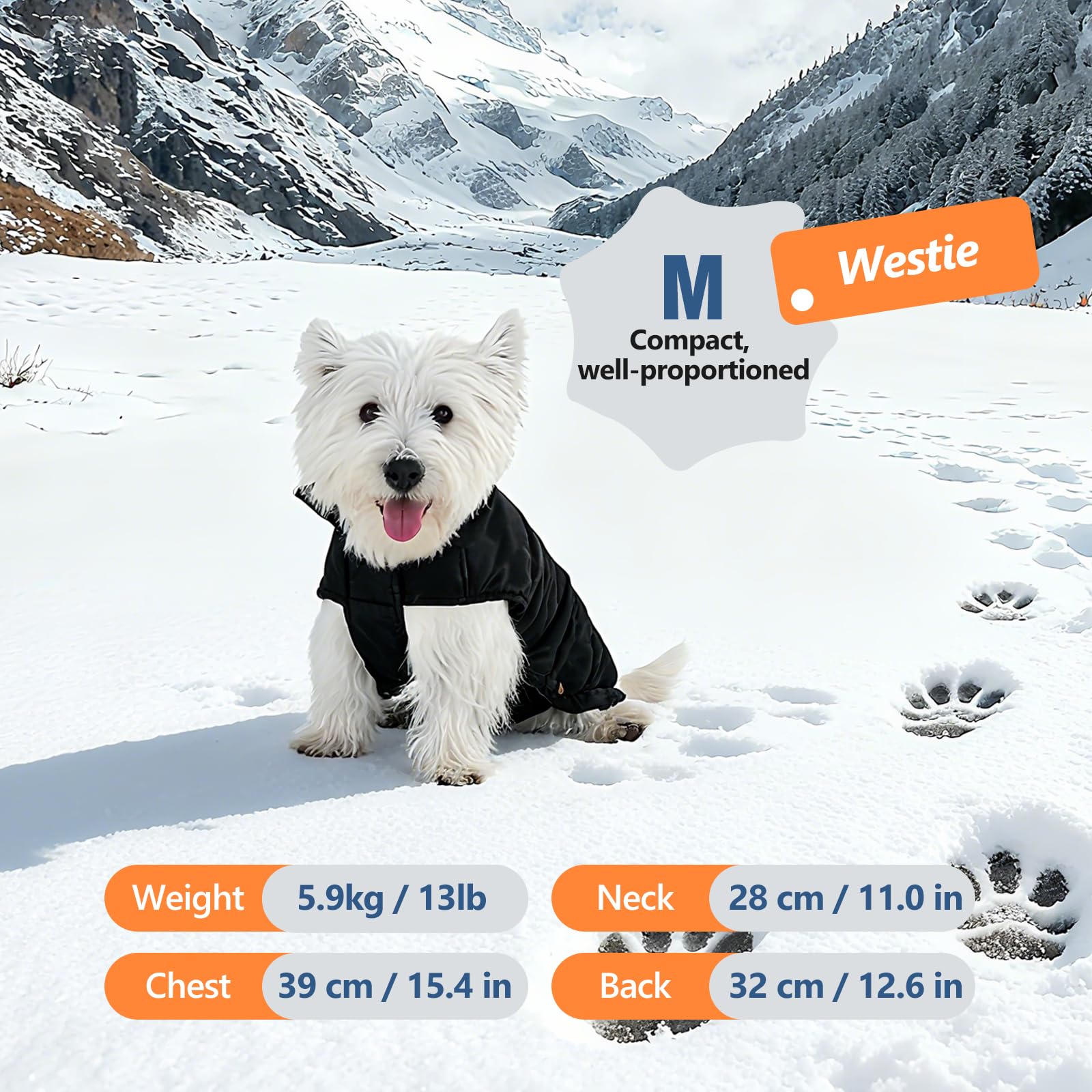 Inanil dog puffer jacket leash-hole allows easy harness attachment.
