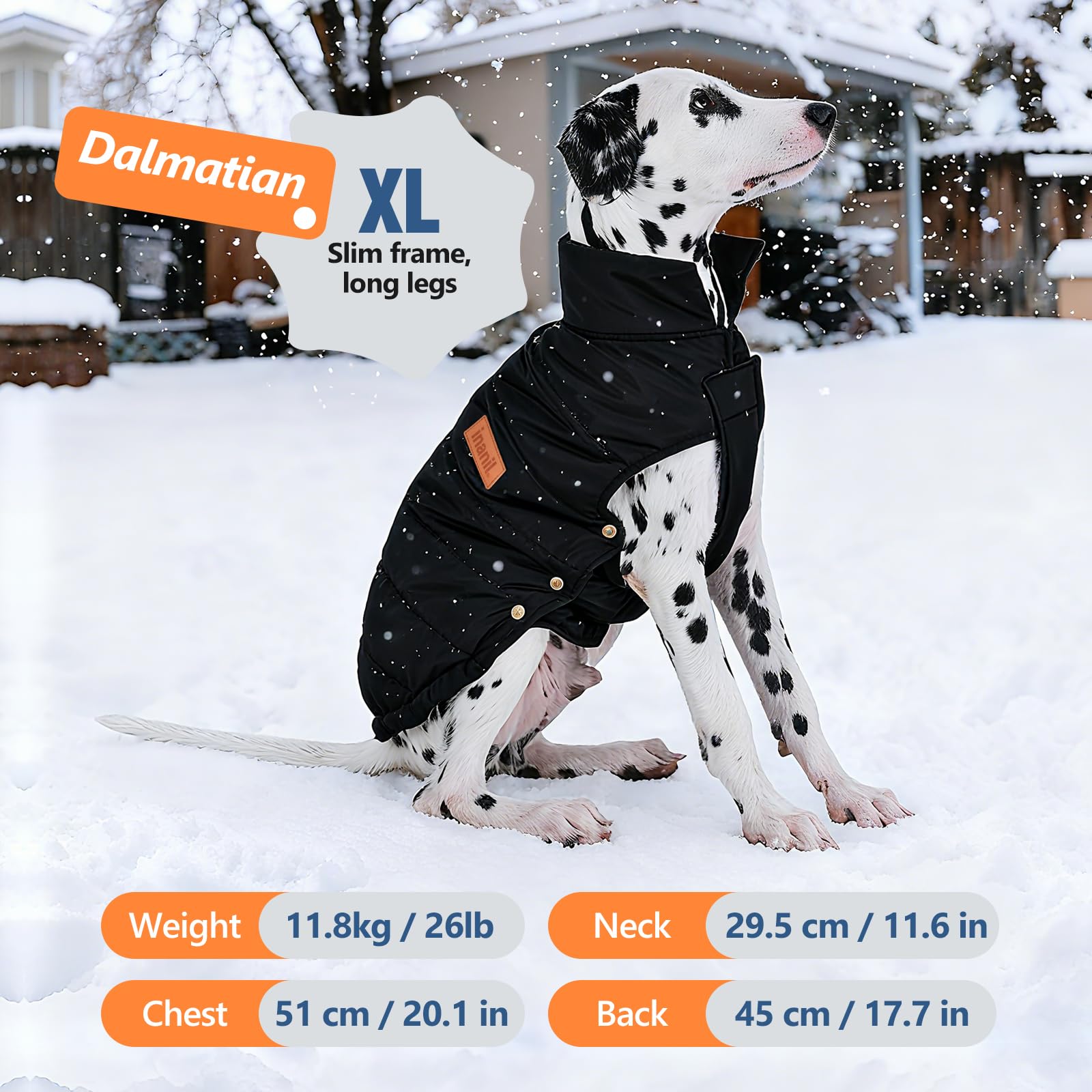 Inanil dog puffer jacket on-dog-walk showcasing lightweight warmth.