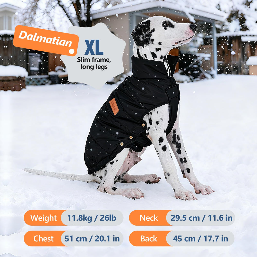 Inanil dog puffer jacket on-dog-walk showcasing lightweight warmth.