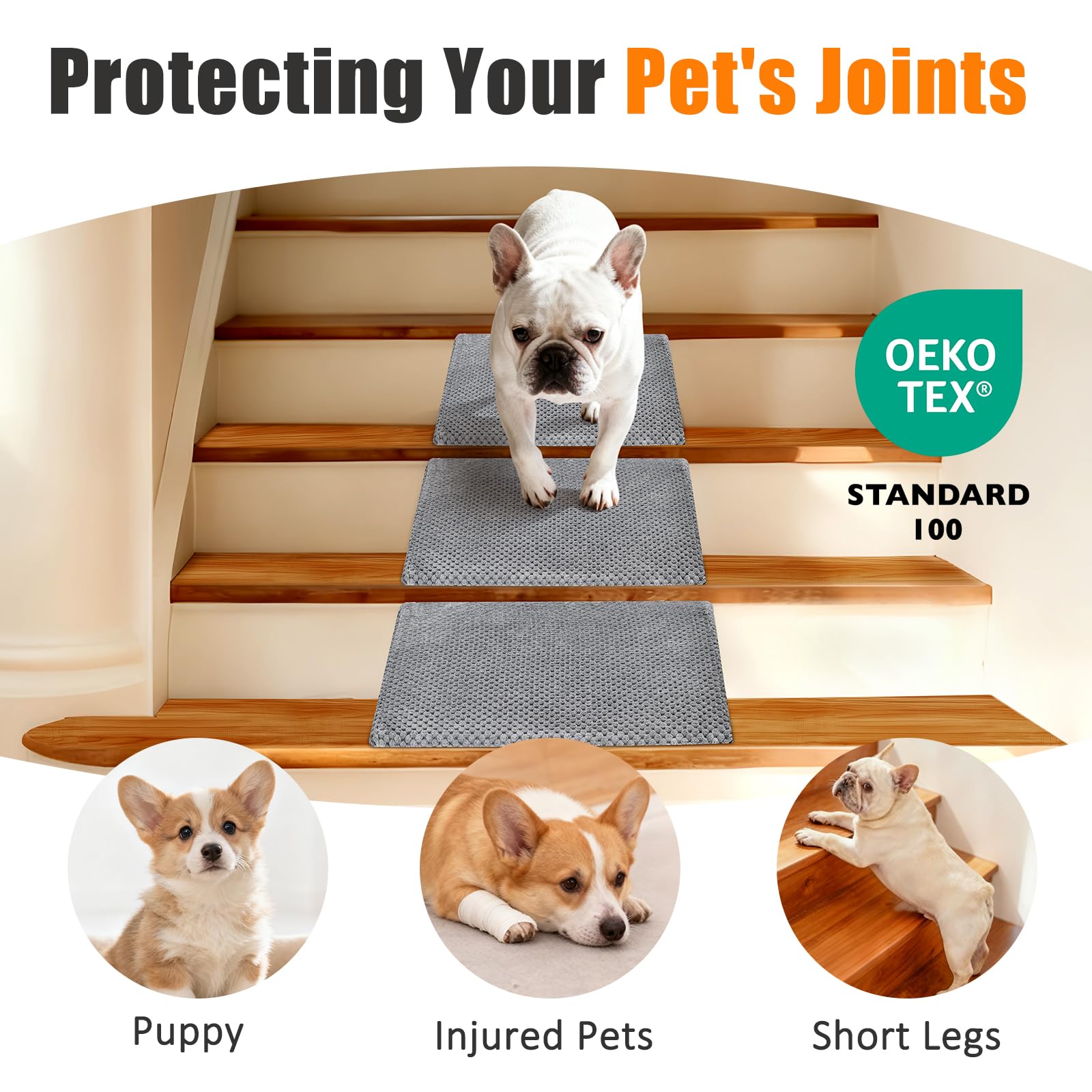 Inanil dog ramp low-angle design demonstrates easy climbing with reduced joint strain.