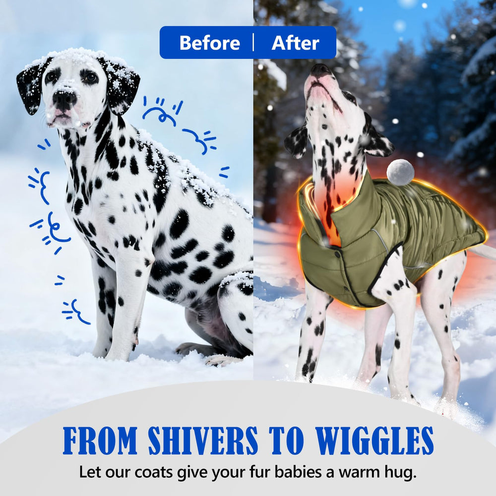 Inanil dog winter puffer jacket waterproof shell resists rain and snow for all-weather adventures